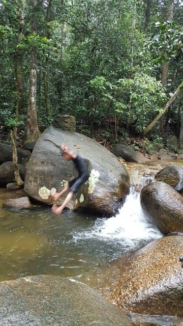 Taman Rimba Kledang Saiong